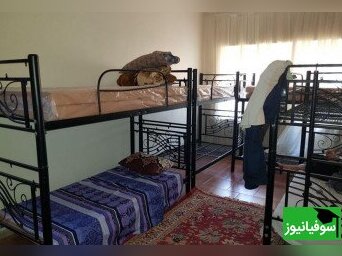 (ویدئو) تفریحات عجیب در خوابگاه پسرانه/ حضور اسپایدرمن ایرانی در خوابگاه