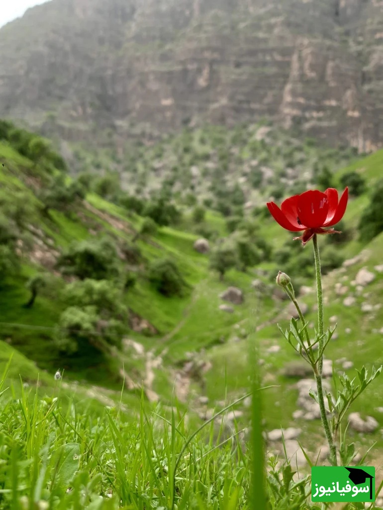 عکس از: سایت Google Maps