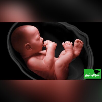 (ویدئو) مراحل جالب شکل‌گیری چهرۀ جنین انسان/ همه یه روزی این شکلی بودن