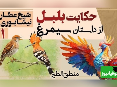 مجموعه داستان‌های میخکوب کننده منطق الطیر عطار/ بخش اول؛ آغاز سفر پرندگان+ بلبل به وجد آمده از عشق و هدهد
