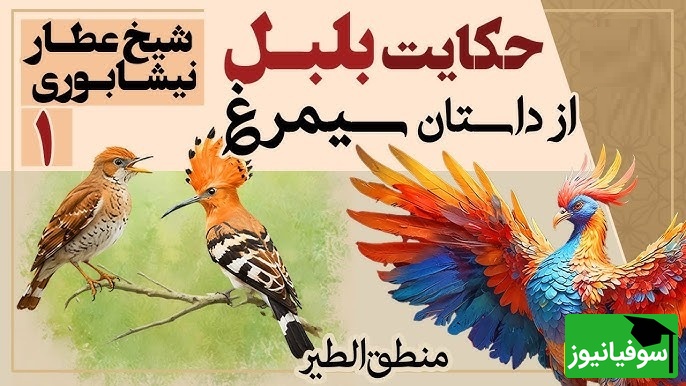 مجموعه داستان‌های میخکوب کننده منطق الطیر عطار/ بخش اول؛ آغاز سفر پرندگان+ بلبل به وجد آمده از عشق و هدهد