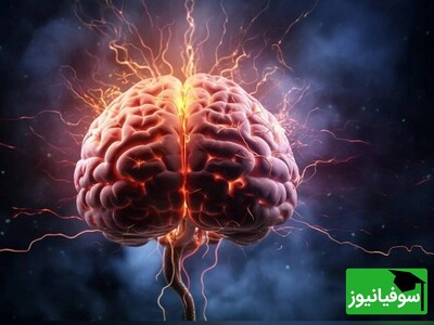 (ویدئو) آیا مغز پس از مرگ به حیات خود ادامه می‌دهد؟