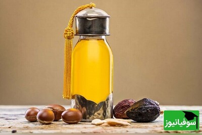 روغن آرگان؛ اکسیر طلایی جوانی و راز درخشش مادام العمر پوست!