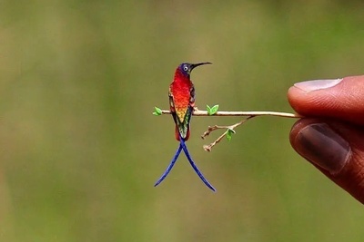 (ویدئو) کوچک‌ترین پرنده جهان اندازه دو بند انگشت! 😍 پرنده‌های رنگارنگ مینیاتوری که باور نمی‌کنی واقعی‌اند