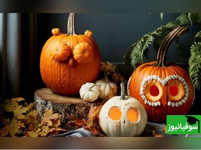 از کاهش تب تا رفع سرفه شبانه؛ همه فواید کدوحلوایی برای کودکان