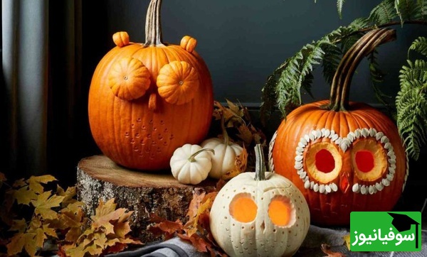 از کاهش تب تا رفع سرفه شبانه؛ همه فواید کدوحلوایی برای کودکان