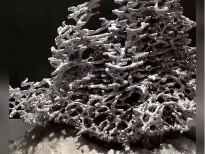 (ویدئو) معماری زیبای مهندسین در زیرخاک/ مورچه نگو بلا بگو، خودشون یه پا مهندس معمارن