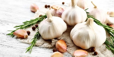 (ویدیو) فواید شگفت‌انگیز و معجزه‌آسای سیر که بدن شما رو بیمه می‌کنه/ حاضرین به خاطر قوی‌ترین خواص بوی تند رو تحمل کنین؟