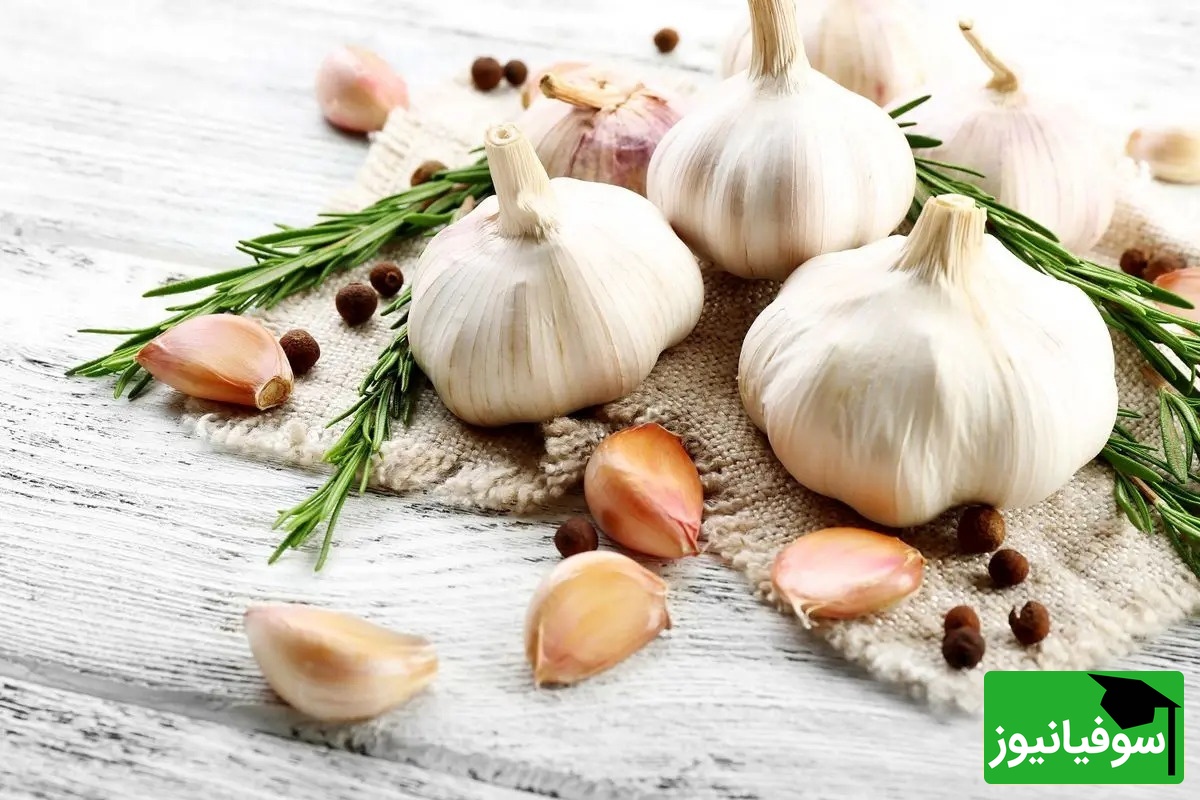 (ویدیو) فواید شگفت‌انگیز و معجزه‌آسای سیر که بدن شما رو بیمه می‌کنه/ حاضرین به خاطر قوی‌ترین خواص بوی تند رو تحمل کنین؟