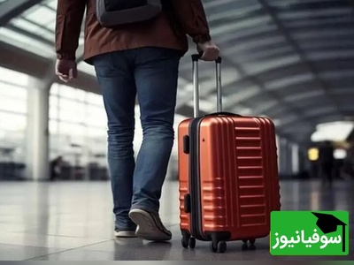 افت کم‌سابقه مهاجرت نخبگان؛ نقش سیاست‌های جدید چه بود؟