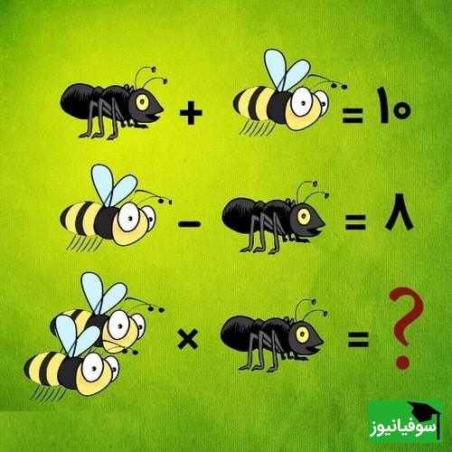 معمای مورچه و زنبور