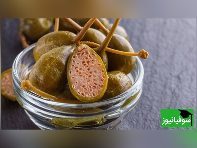 ویدیو/ کشفی جدید برای مهار بیابان توسط متخصصان شرکت دانش‌بنیان/ گیاه دارویی "کاپاریس" بکارید