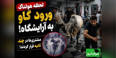 حمله هولناک گاو قربانی به آرایشگاه مردانه / لحظه‌ای که همه از ترس فرار کردند😂+ فیلم