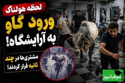 حمله هولناک گاو قربانی به آرایشگاه مردانه / لحظه‌ای که همه از ترس فرار کردند😂+ فیلم