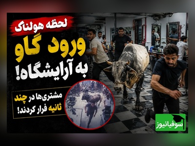 حمله هولناک گاو قربانی به آرایشگاه مردانه / لحظه‌ای که همه از ترس فرار کردند😂+ فیلم