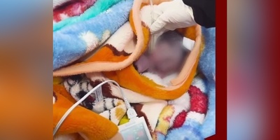 لحظه دلخراش رها کردن نوزاد در سرمای استخوان‌سوز تبریز + فیلم