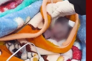 لحظه دلخراش رها کردن نوزاد در سرمای استخوان‌سوز تبریز + فیلم