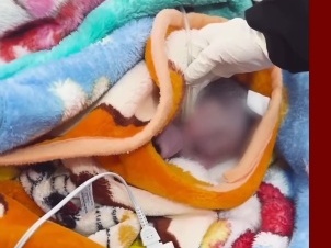 لحظه دلخراش رها کردن نوزاد در سرمای استخوان‌سوز تبریز + فیلم
