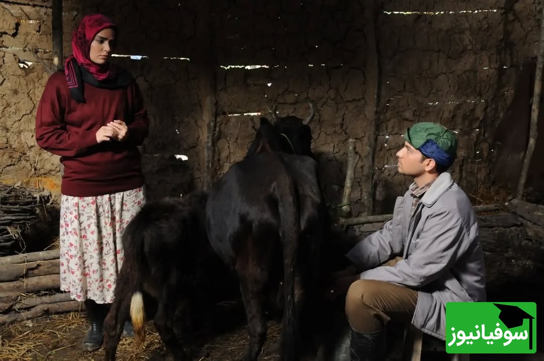 سریال از یاد رفته