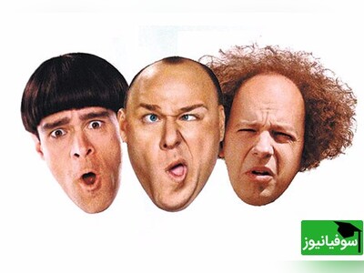 ویدیو/ سکانس خنده‌دار از یک مسابقه‌ی تست هوش که شرکت‌کنندگانش تن «ادیسون» را در گور لرزاندند/ پارکینسون مزمن آخه!!!