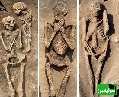 اسکلت