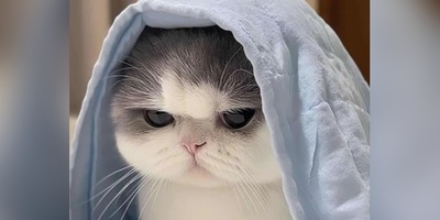 فقط افراد نابغه میتونن جواب این معمارو پیدا کنن اگه توام ضریب هوشی بالایی داری زیر 6 ثانیه جواب رو برامون بنویس!