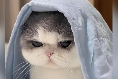 فقط افراد نابغه میتونن جواب این معمارو پیدا کنن اگه توام ضریب هوشی بالایی داری زیر 6 ثانیه جواب رو برامون بنویس!