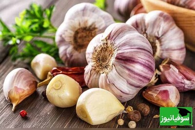 خواص خوردن سیر خام در شب و طبع سیر / سیر برای چه کسانی ضرر دارد؟