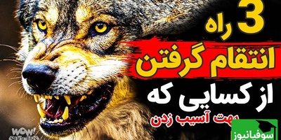 سه راه انتقام گرفتن از کسایی که بهت آسیب زدن / درس‌های پنهان ماکیاولی که هیچ‌کس بهت نمی‌گه
