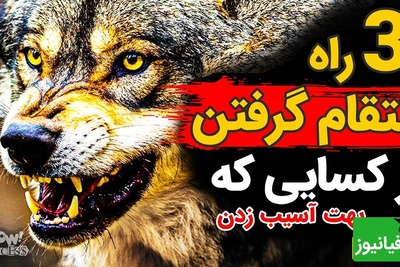 سه راه انتقام گرفتن از کسایی که بهت آسیب زدن / درس‌های پنهان ماکیاولی که هیچ‌کس بهت نمی‌گه