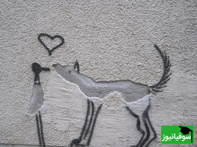  سگ عاشق، لایپزیگ، آلمان