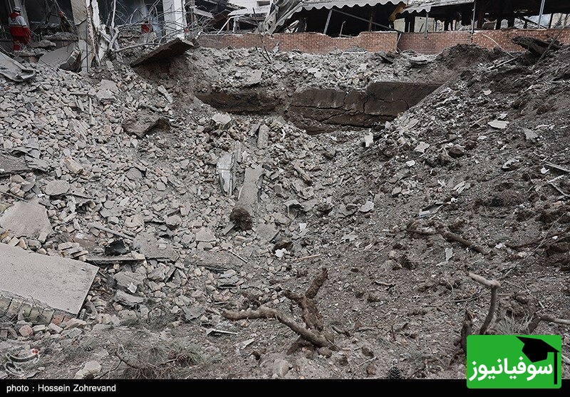 شجره طیبه میناب