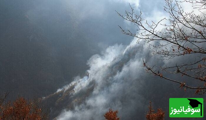 (ویدیو) انتشار نخستین تصاویر از عملیات خاموش‌سازی جنگل‌های هیرکانی چالوس با هواپیمای ایلوشن