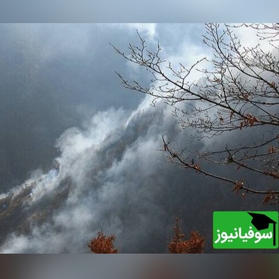 (ویدیو) انتشار نخستین تصاویر از عملیات خاموش‌سازی جنگل‌های هیرکانی چالوس با هواپیمای ایلوشن