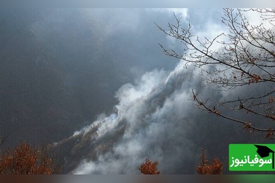 (ویدیو) انتشار نخستین تصاویر از عملیات خاموش‌سازی جنگل‌های هیرکانی چالوس با هواپیمای ایلوشن