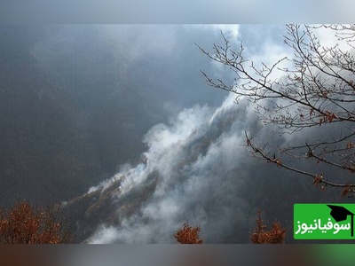 (ویدیو) انتشار نخستین تصاویر از عملیات خاموش‌سازی جنگل‌های هیرکانی چالوس با هواپیمای ایلوشن