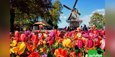 هلند یا netherland؟ انتخاب هوشمندانه نام سرزمینشان مردم این کشور را متفاوت کرده است! +ویدیو