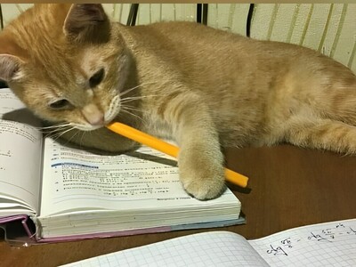 ویدئو | طنز دانشجویی روز؛ وقتی بقیه‌ی دوستات از هوش مصنوعی بی‌خبرن...🤣