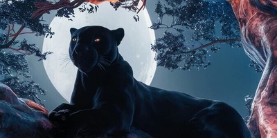 عکس | درخشش ماه کامل و نعره‌ی پلنگ هندی/ آغاز شب اسرار در تپه‌های راجستان