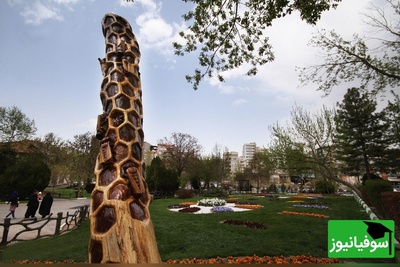 (عکس) تولد دوباره یک درخت مُرده: شاهکار دانشجویان هنر شیراز در قلب شهر
