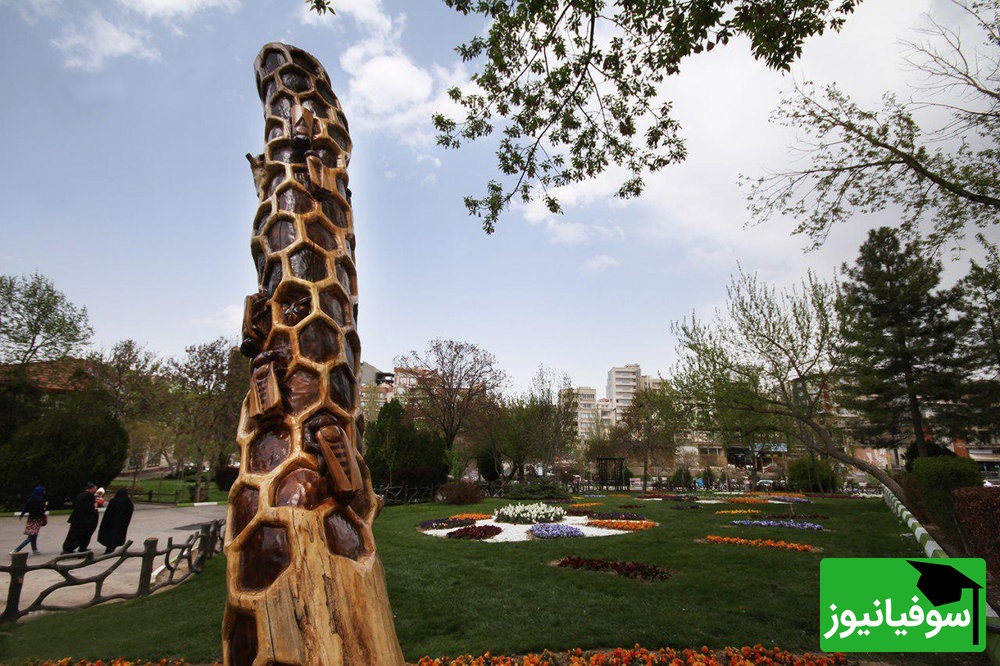 (عکس) تولد دوباره یک درخت مُرده: شاهکار دانشجویان هنر شیراز در قلب شهر