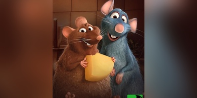 معما تصویری | فکر میکنی چشم تیز بین و هوش بالایی داری پس زیر 6 ثانیه بگو چندتا موش توی تصویر وجود داره؟