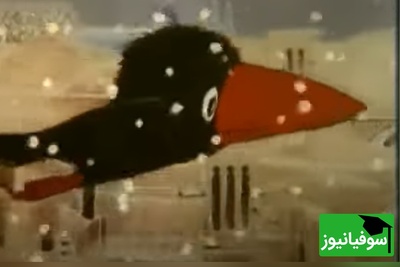 (ویدئو) کلاغ دهه‌شصتی و قفس گرمش؛ نوستالژی تلخی که پر از درس بود / وقتی فهمید آزادی چیست، دیگر دیر شده بود...