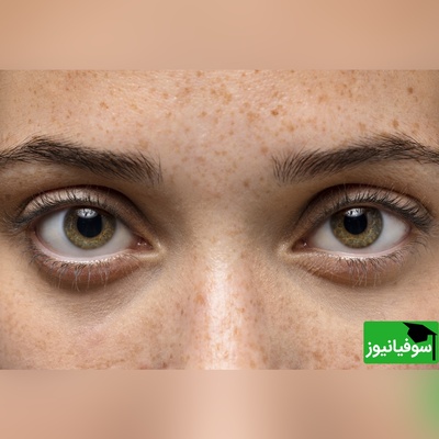 8 ثانیه وقت داری که شکارچی گله گورخرها رو پیدا کنی! اگه چشم عقاب داری این معما برای توئه