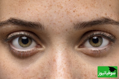 8 ثانیه وقت داری که شکارچی گله گورخرها رو پیدا کنی! اگه چشم عقاب داری این معما برای توئه