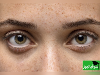 8 ثانیه وقت داری که شکارچی گله گورخرها رو پیدا کنی! اگه چشم عقاب داری این معما برای توئه