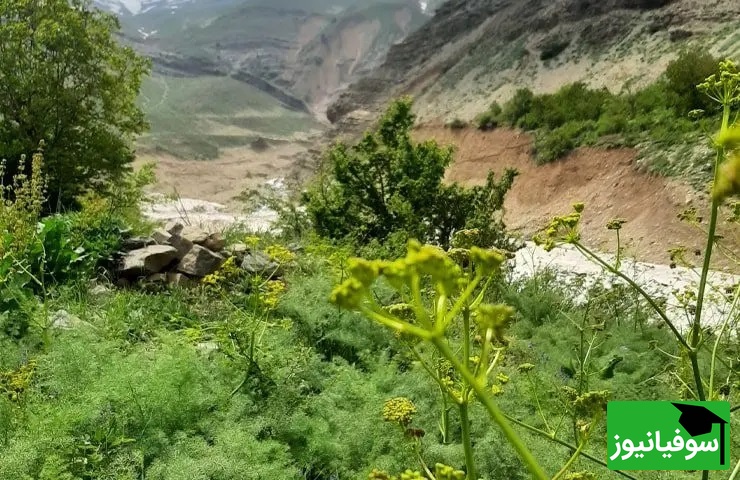 روستای ایگل