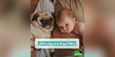 رابطه کودک و حیوان خانگی/ تأثیر حضور حیوانات خانگی در رشد نوزاد+ فیلم