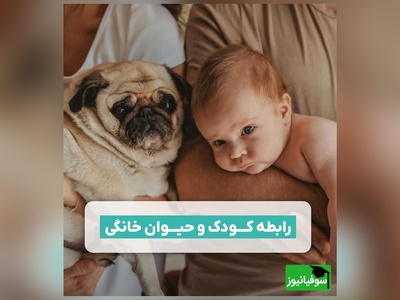 رابطه کودک و حیوان خانگی/ تأثیر حضور حیوانات خانگی در رشد نوزاد+ فیلم