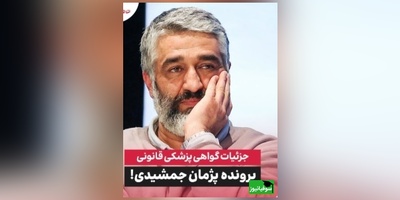 ویدئو/ دفاع اختصاصی وکیل پژمان جمشیدی: هفته آینده به ایران برمیگرده/ قاضی درباره جزئیات پروندش ....